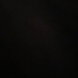 Meet your Posher, Daisy